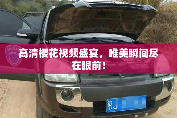高清樱花视频盛宴，唯美瞬间尽在眼前！