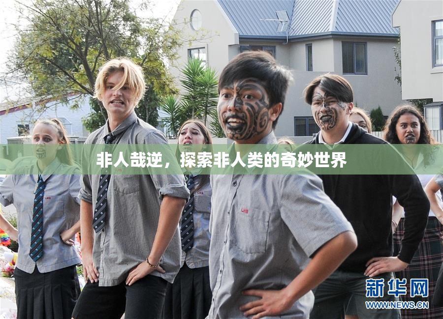 非人哉逆，探索非人类的奇妙世界