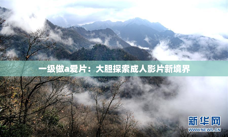 一级做a爱片：大胆探索成人影片新境界