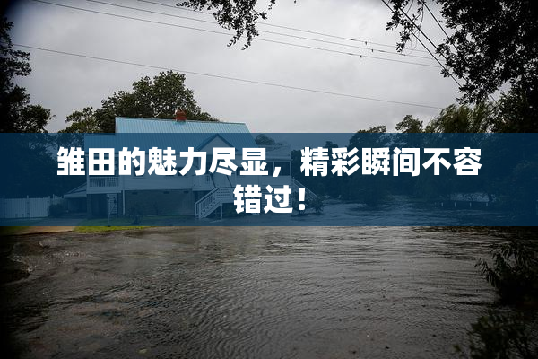 雏田的魅力尽显，精彩瞬间不容错过！