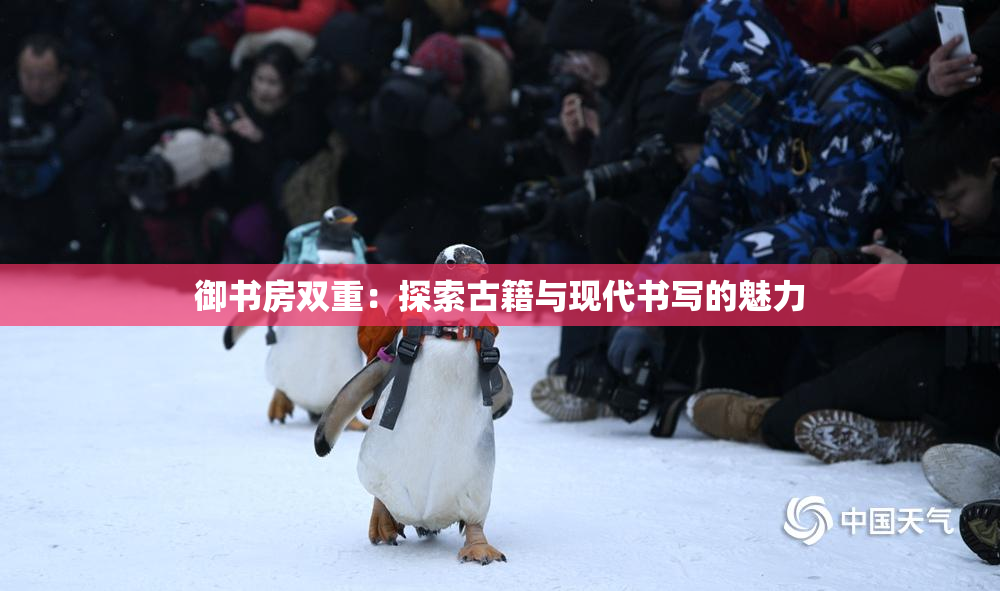 御书房双重：探索古籍与现代书写的魅力
