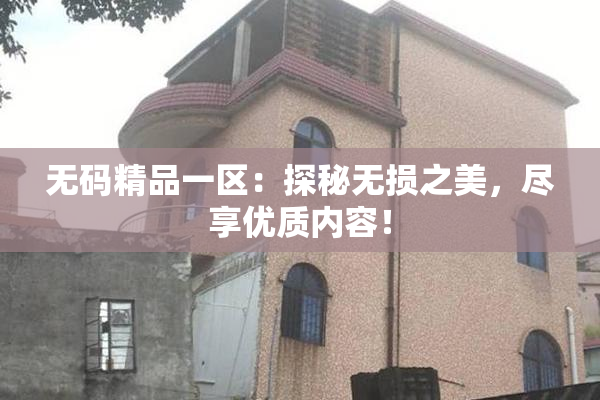 无码精品一区：探秘无损之美，尽享优质内容！