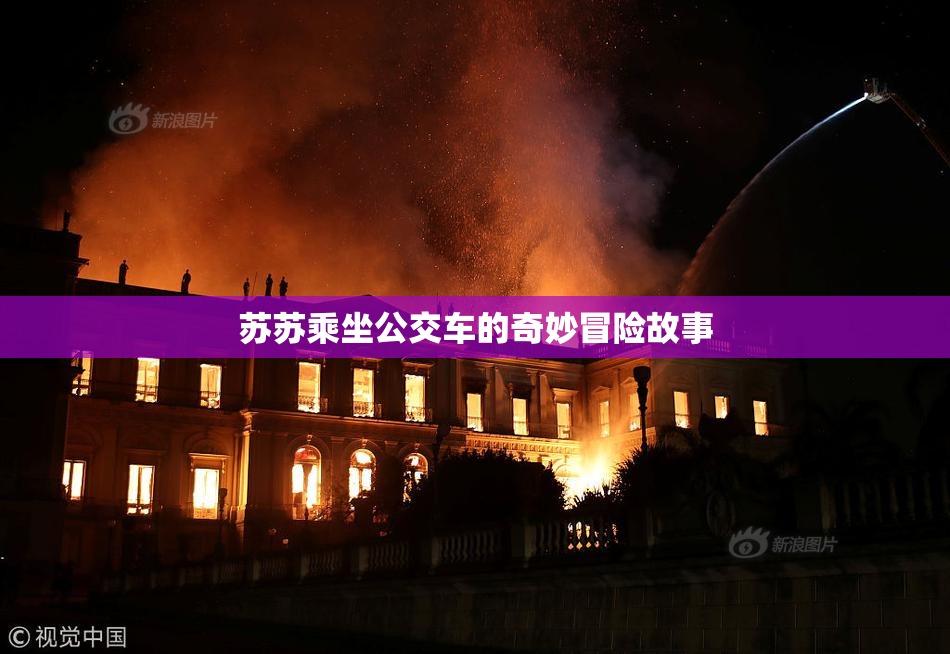 苏苏乘坐公交车的奇妙冒险故事