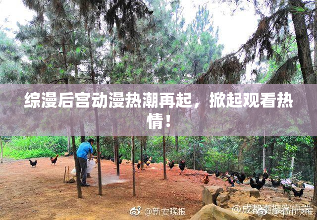 综漫后宫动漫热潮再起，掀起观看热情！