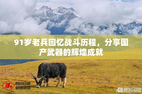 91岁老兵回忆战斗历程，分享国产武器的辉煌成就