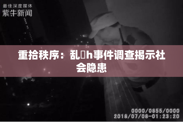 重拾秩序：乱婬h事件调查揭示社会隐患