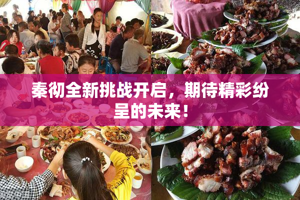 秦彻全新挑战开启，期待精彩纷呈的未来！