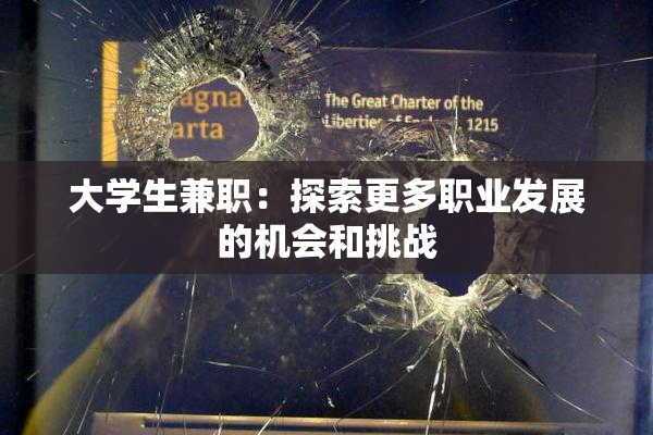 大学生兼职：探索更多职业发展的机会和挑战