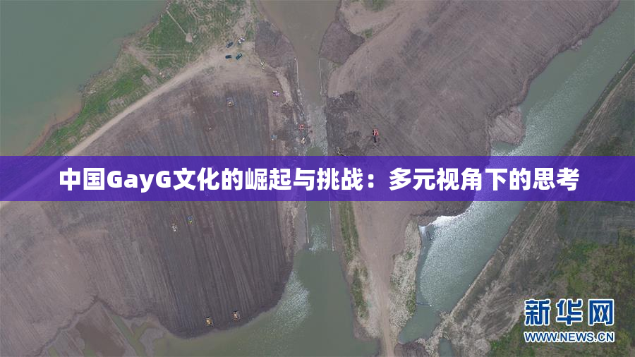 中国GayG文化的崛起与挑战：多元视角下的思考