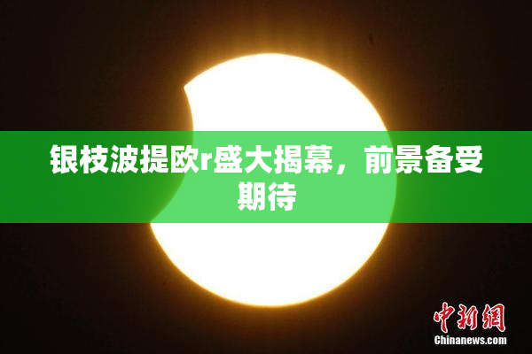 银枝波提欧r盛大揭幕，前景备受期待