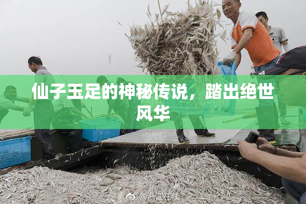 仙子玉足的神秘传说，踏出绝世风华