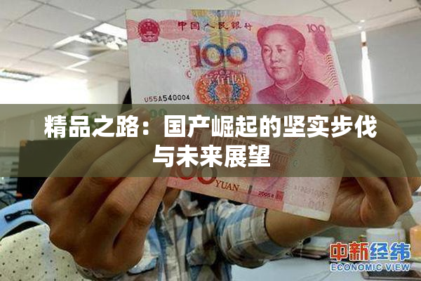 精品之路：国产崛起的坚实步伐与未来展望