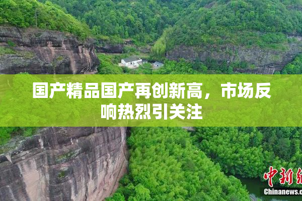 国产精品国产再创新高，市场反响热烈引关注