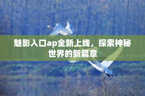 魅影入口ap全新上线，探索神秘世界的新篇章