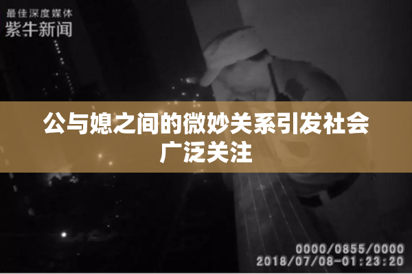 公与媳之间的微妙关系引发社会广泛关注