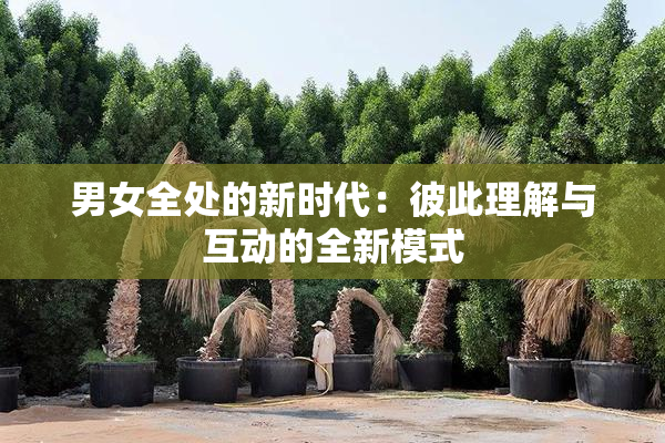 男女全处的新时代：彼此理解与互动的全新模式