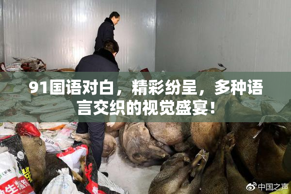 91国语对白，精彩纷呈，多种语言交织的视觉盛宴！