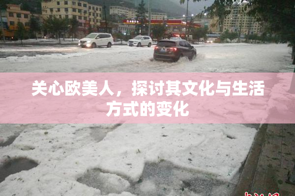 关心欧美人，探讨其文化与生活方式的变化