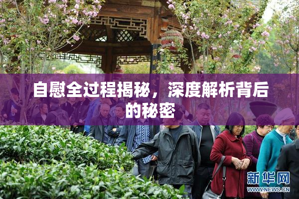 自慰全过程揭秘，深度解析背后的秘密