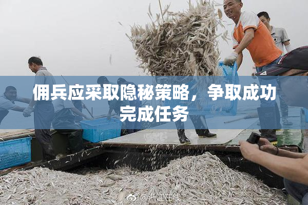 佣兵应采取隐秘策略，争取成功完成任务