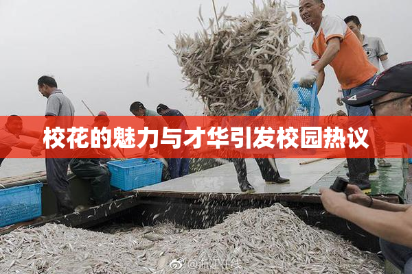 校花的魅力与才华引发校园热议