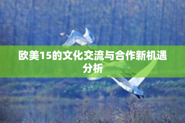 欧美15的文化交流与合作新机遇分析
