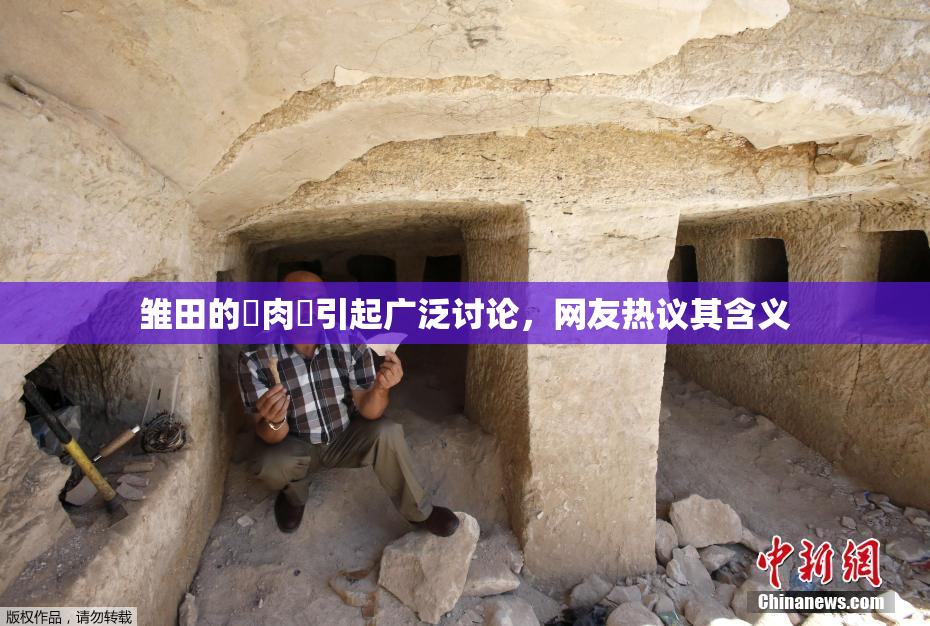 雏田的婬肉泬引起广泛讨论，网友热议其含义