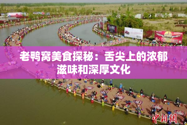 老鸭窝美食探秘：舌尖上的浓郁滋味和深厚文化