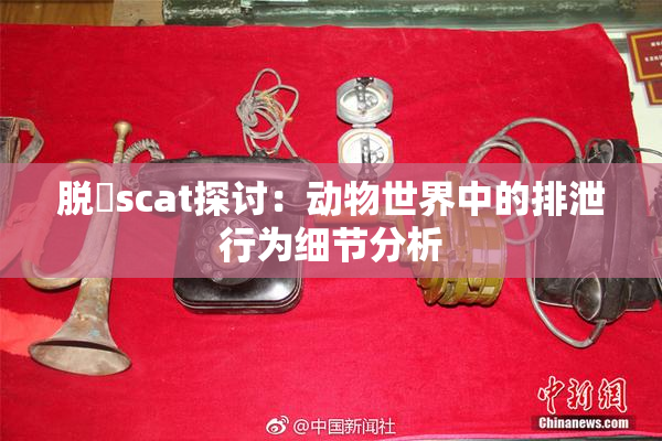 脱糞scat探讨：动物世界中的排泄行为细节分析