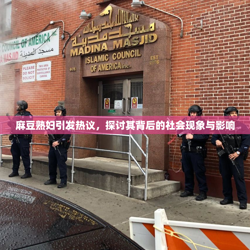麻豆熟妇引发热议，探讨其背后的社会现象与影响