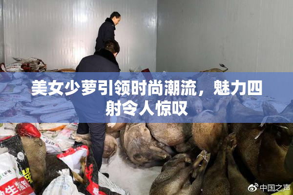 美女少萝引领时尚潮流，魅力四射令人惊叹