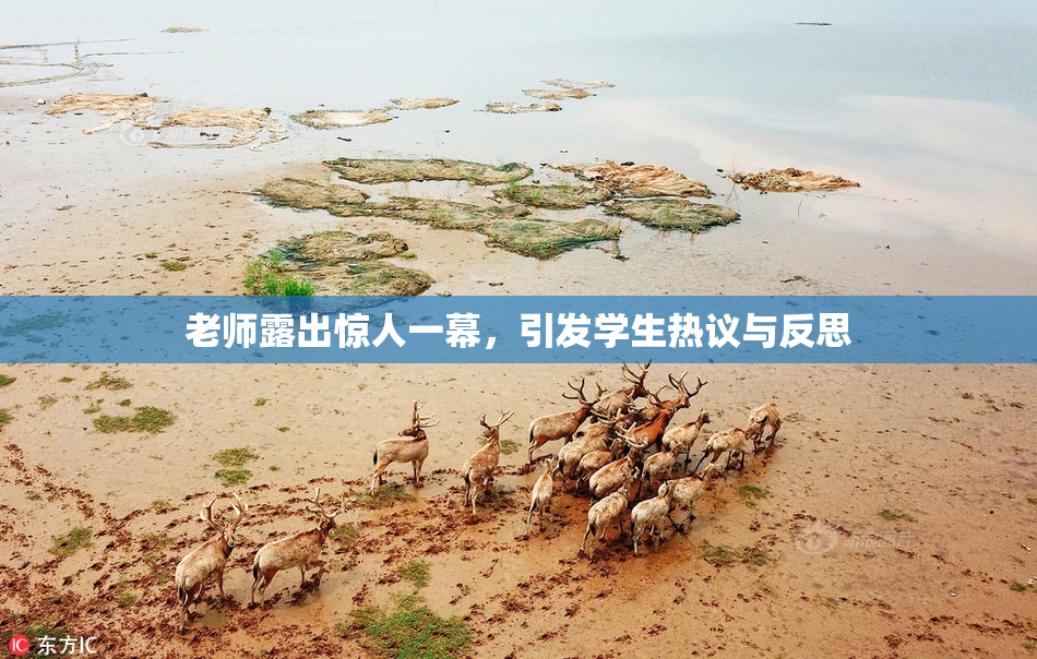 老师露出惊人一幕，引发学生热议与反思