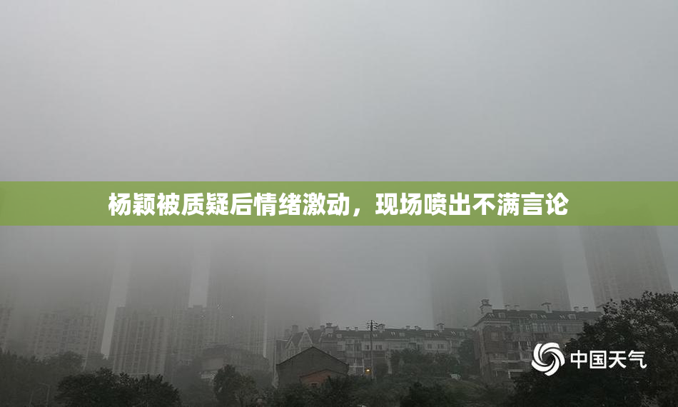 杨颖被质疑后情绪激动，现场喷出不满言论