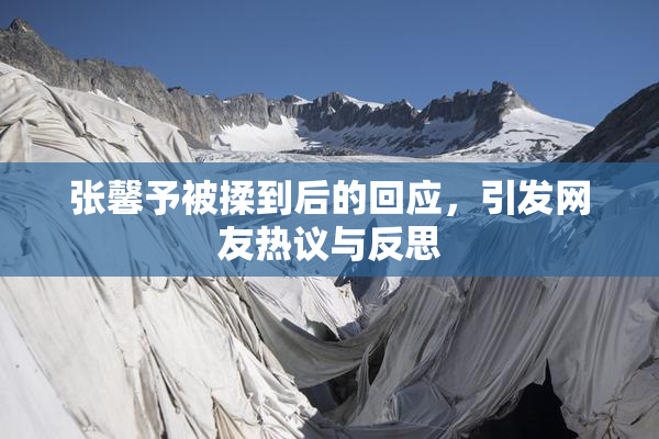 张馨予被揉到后的回应，引发网友热议与反思