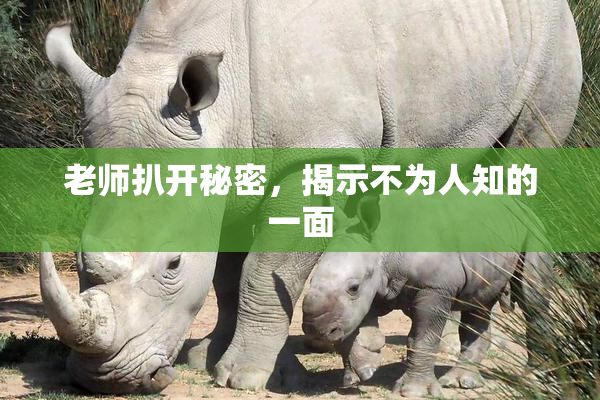 老师扒开秘密，揭示不为人知的一面