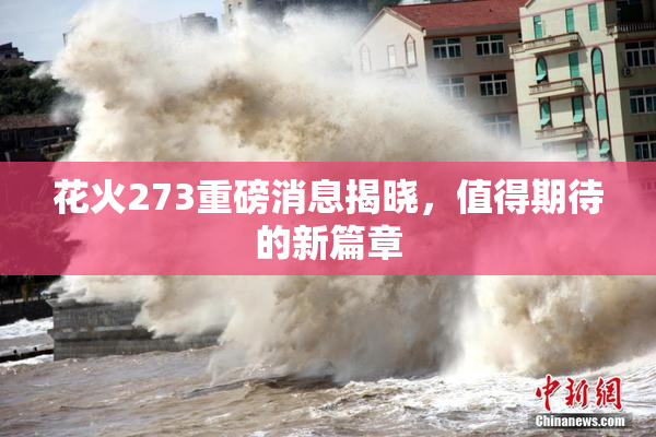 花火273重磅消息揭晓，值得期待的新篇章