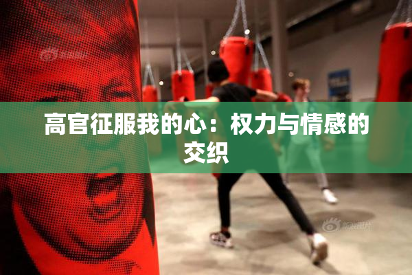 高官征服我的心：权力与情感的交织