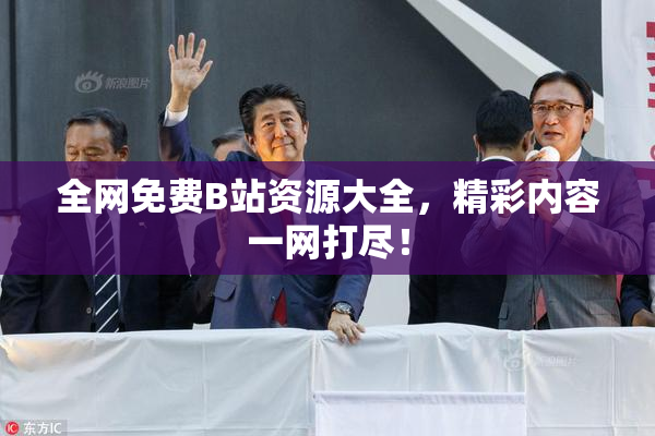 全网免费B站资源大全，精彩内容一网打尽！