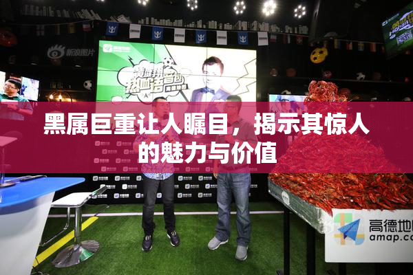 黑属巨重让人瞩目，揭示其惊人的魅力与价值