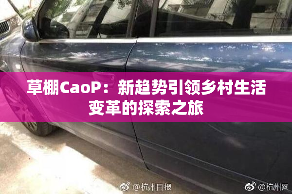 草棚CaoP：新趋势引领乡村生活变革的探索之旅