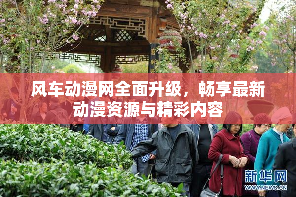 风车动漫网全面升级，畅享最新动漫资源与精彩内容