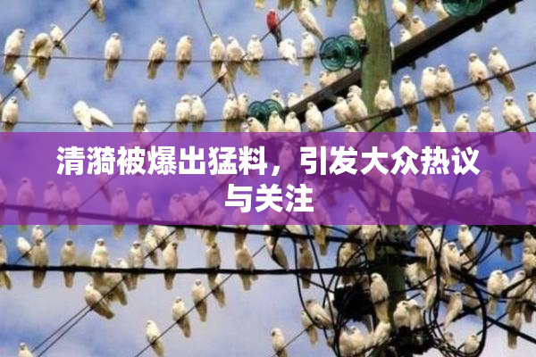 清漪被爆出猛料，引发大众热议与关注