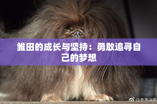 雏田的成长与坚持：勇敢追寻自己的梦想
