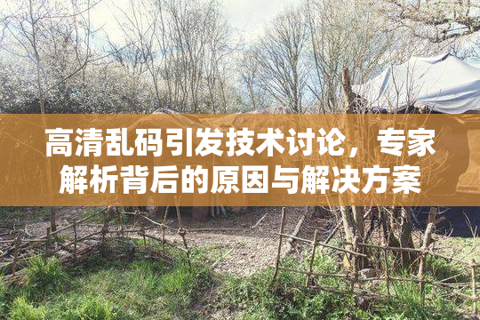 高清乱码引发技术讨论，专家解析背后的原因与解决方案
