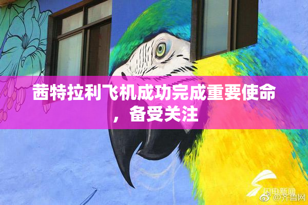 茜特拉利飞机成功完成重要使命，备受关注