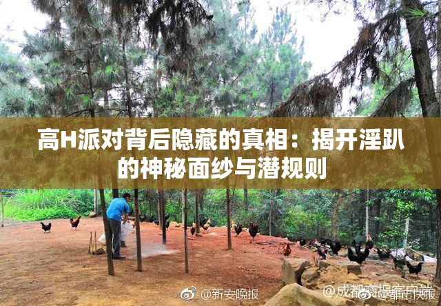 高H派对背后隐藏的真相：揭开淫趴的神秘面纱与潜规则