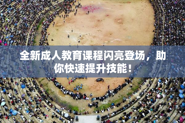 全新成人教育课程闪亮登场，助你快速提升技能！