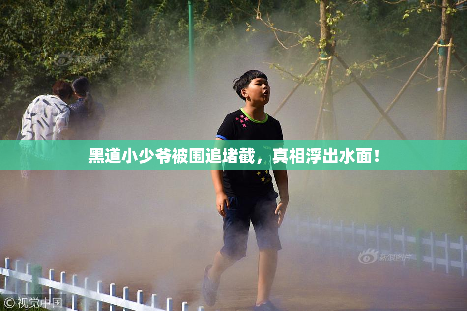 黑道小少爷被围追堵截，真相浮出水面！