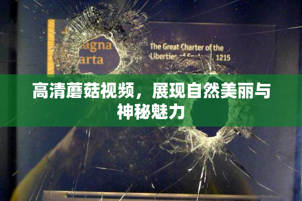 高清蘑菇视频，展现自然美丽与神秘魅力