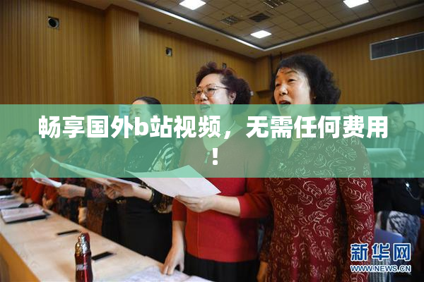 畅享国外b站视频，无需任何费用！